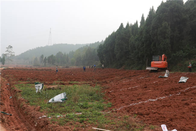 我大发88登陆平台植保团队老师再次来到德阳生态农业基地进行售后跟踪指导