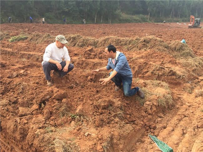 我大发88登陆平台植保团队老师再次来到德阳生态农业基地进行售后跟踪指导